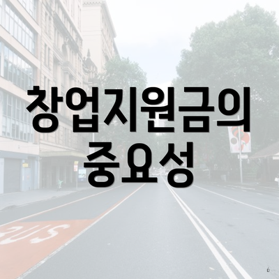 창업지원금의 중요성
