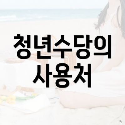 청년수당의 사용처