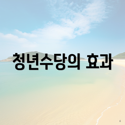 청년수당의 효과