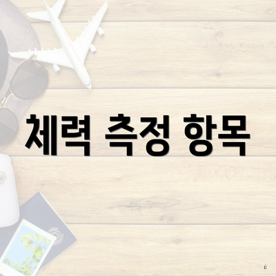 체력 측정 항목
