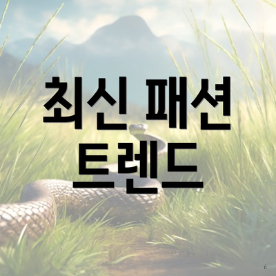 최신 패션 트렌드