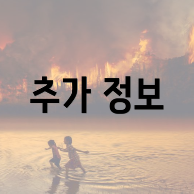 추가 정보