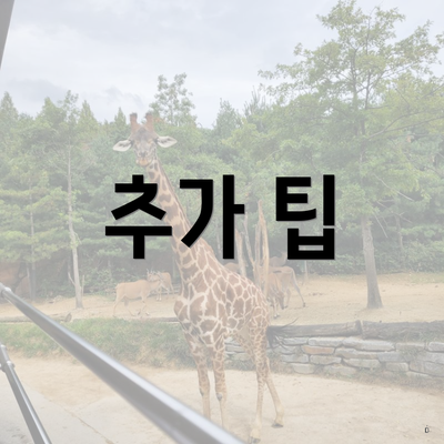 추가 팁