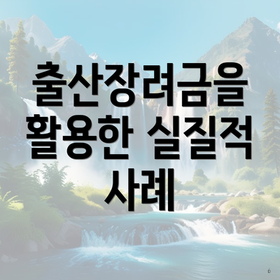 출산장려금을 활용한 실질적 사례