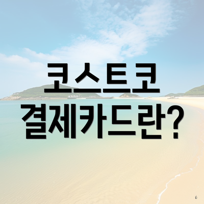 코스트코 결제카드란?