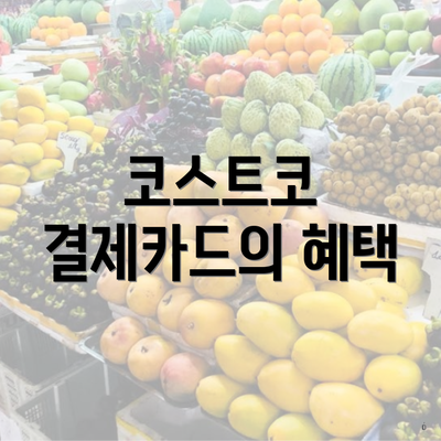 코스트코 결제카드의 혜택