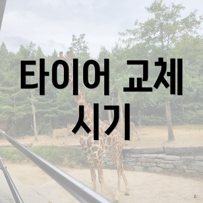 타이어 교체 시기