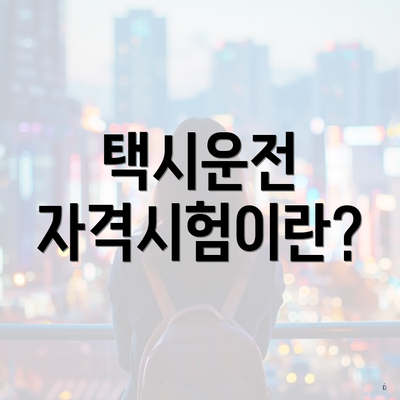 택시운전 자격시험이란?