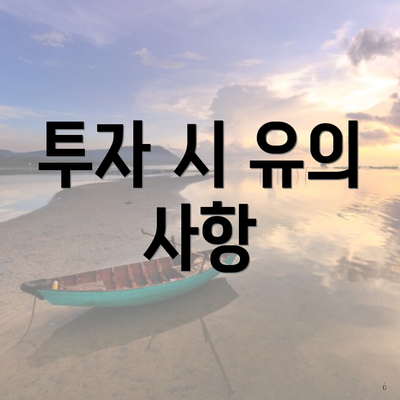 투자 시 유의 사항