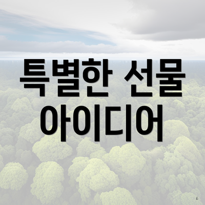 특별한 선물 아이디어