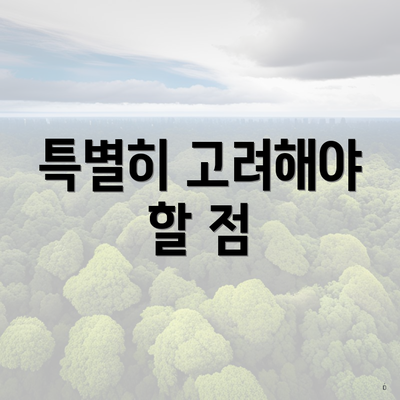 특별히 고려해야 할 점