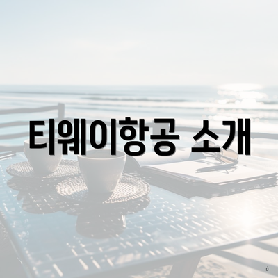 티웨이항공 소개