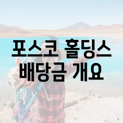포스코 홀딩스 배당금 개요