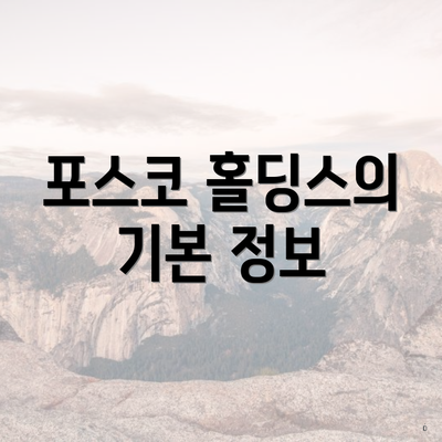 포스코 홀딩스의 기본 정보