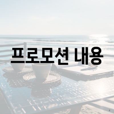 프로모션 내용