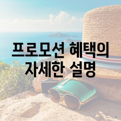 프로모션 혜택의 자세한 설명