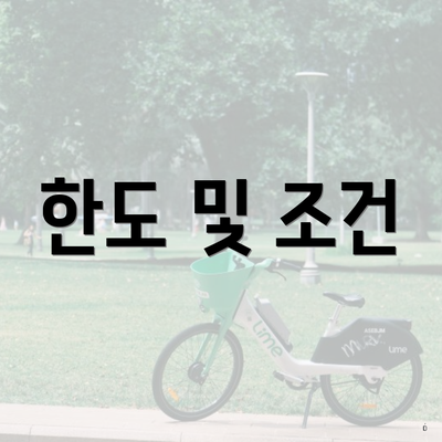 한도 및 조건
