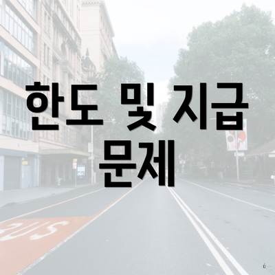 한도 및 지급 문제