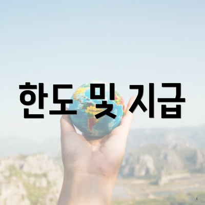 한도 및 지급