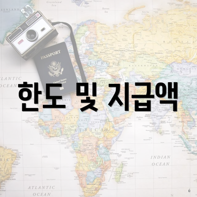 한도 및 지급액