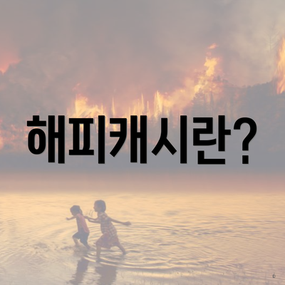 해피캐시란?