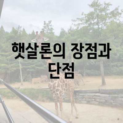 햇살론의 장점과 단점