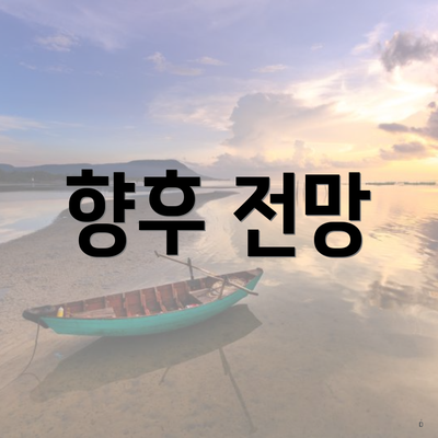 향후 전망
