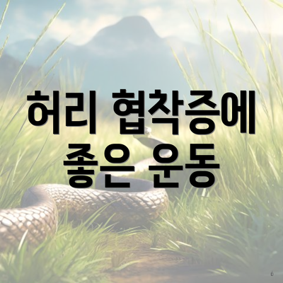 허리 협착증에 좋은 운동