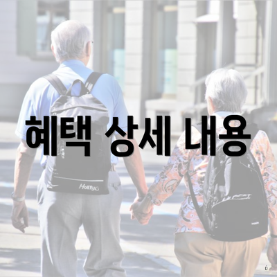 혜택 상세 내용
