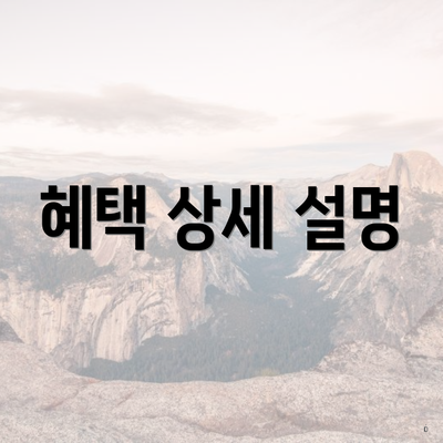 혜택 상세 설명